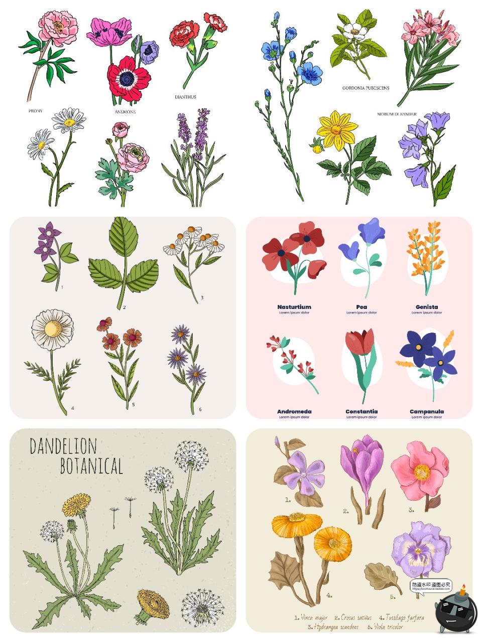 图片[4]-水彩森系手绘植物花卉叶子花枝花草鲜花野花插画图案AI矢量图素材-设计猿