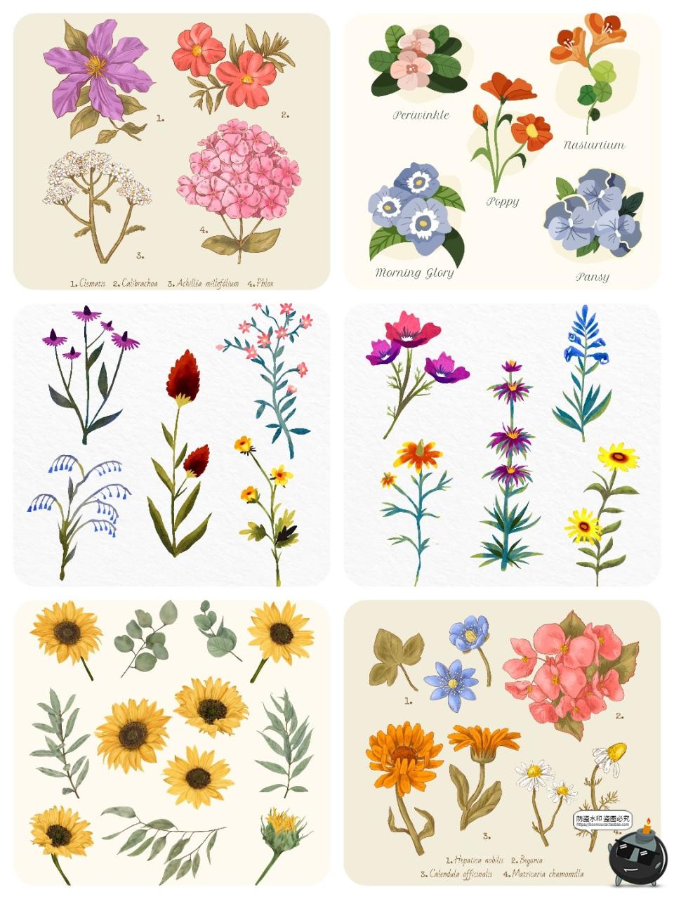 图片[5]-水彩森系手绘植物花卉叶子花枝花草鲜花野花插画图案AI矢量图素材-设计猿