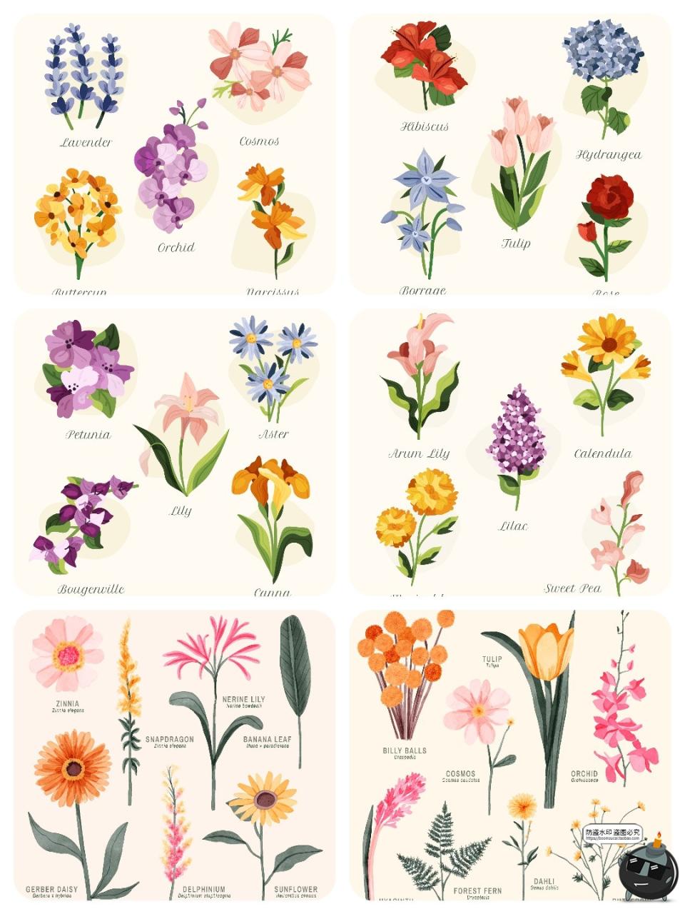 图片[6]-水彩森系手绘植物花卉叶子花枝花草鲜花野花插画图案AI矢量图素材-设计猿