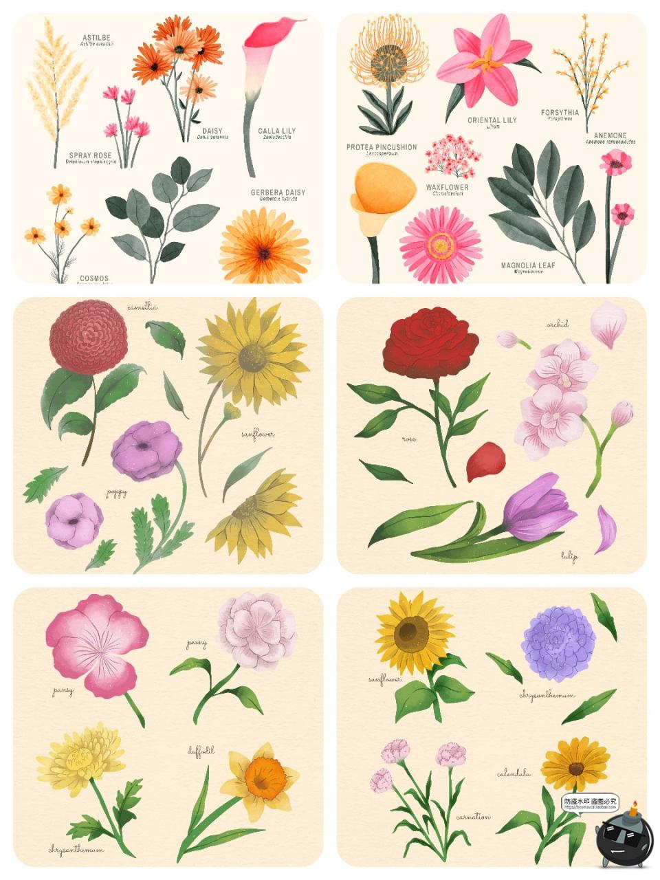 图片[7]-水彩森系手绘植物花卉叶子花枝花草鲜花野花插画图案AI矢量图素材-设计猿