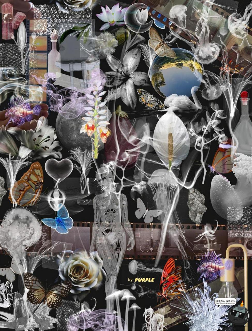 图片[2]-孤寂透明薄膜水汽烟雾空灵轮廓塑料花卉水晶PNG拼贴元素插图素材-设计猿