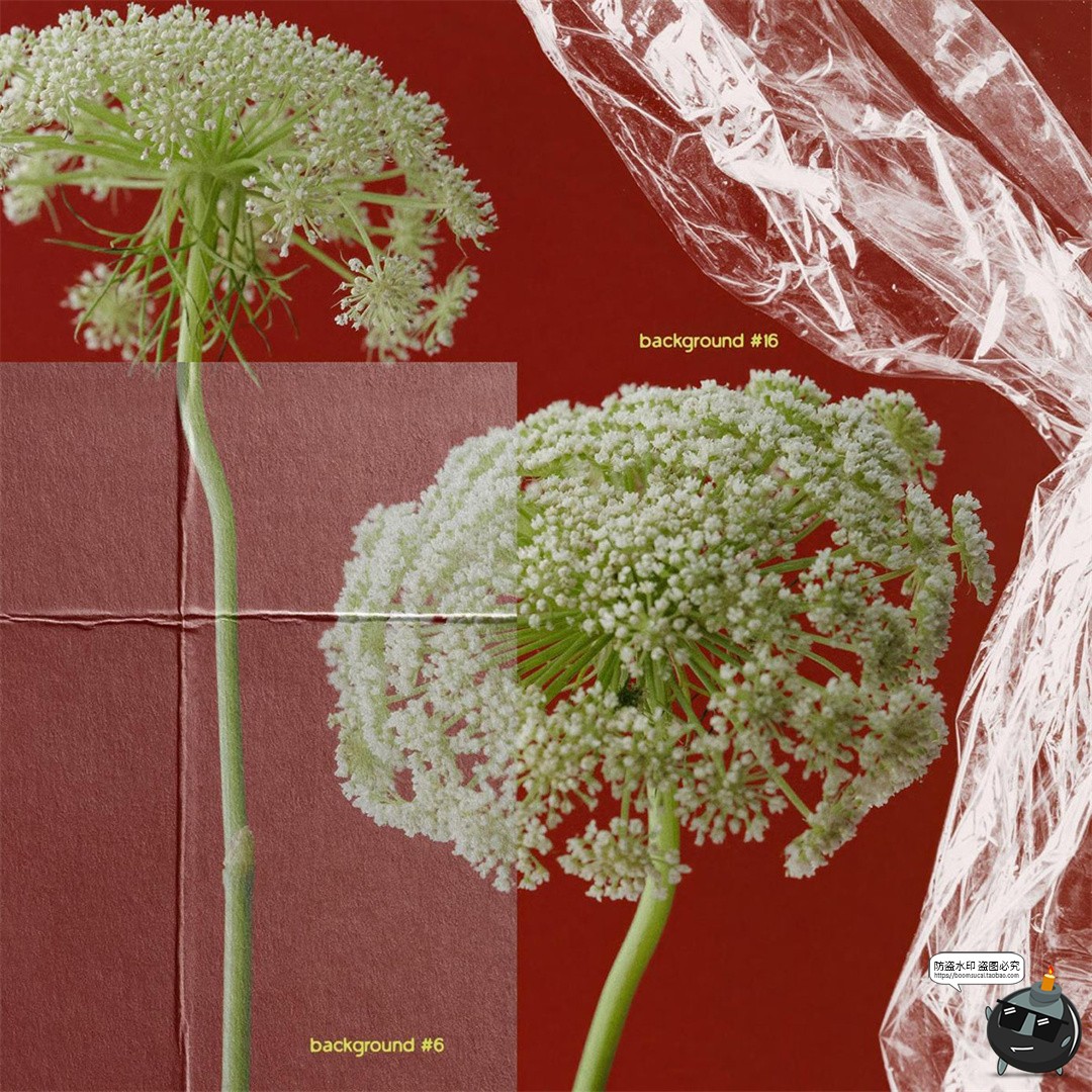 图片[5]-孤寂透明薄膜水汽烟雾空灵轮廓塑料花卉水晶PNG拼贴元素插图素材-设计猿