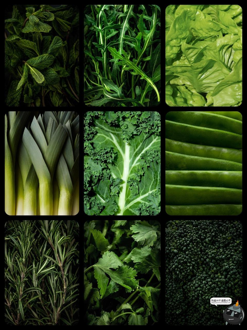 图片[2]-实拍高清绿色蔬菜满屏沙拉健康品牌纹理肌理贴图背景JPG图片素材-设计猿