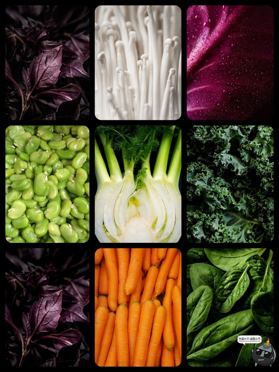 图片[4]-实拍高清绿色蔬菜满屏沙拉健康品牌纹理肌理贴图背景JPG图片素材-设计猿
