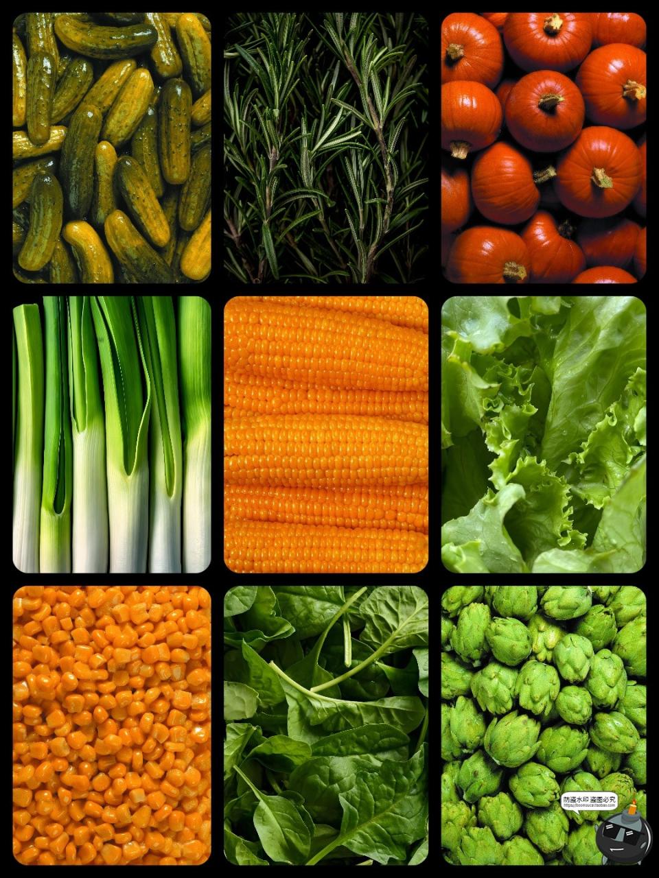 图片[5]-实拍高清绿色蔬菜满屏沙拉健康品牌纹理肌理贴图背景JPG图片素材-设计猿