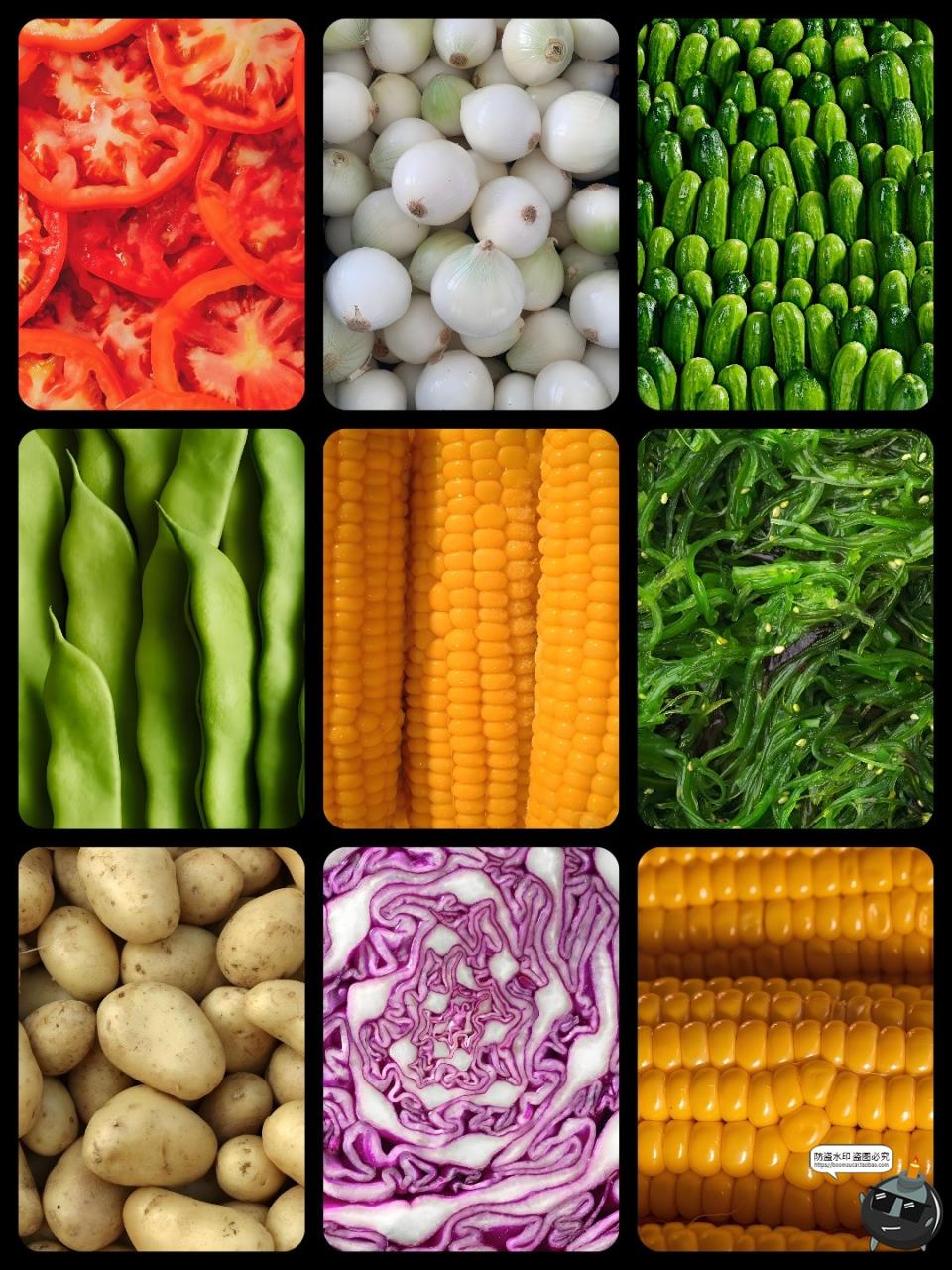 图片[7]-实拍高清绿色蔬菜满屏沙拉健康品牌纹理肌理贴图背景JPG图片素材-设计猿