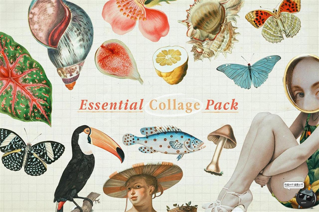 复古奇特奇异剪纸风海洋生物人物蝴蝶水果雕像手账PNG免抠图素材-设计猿