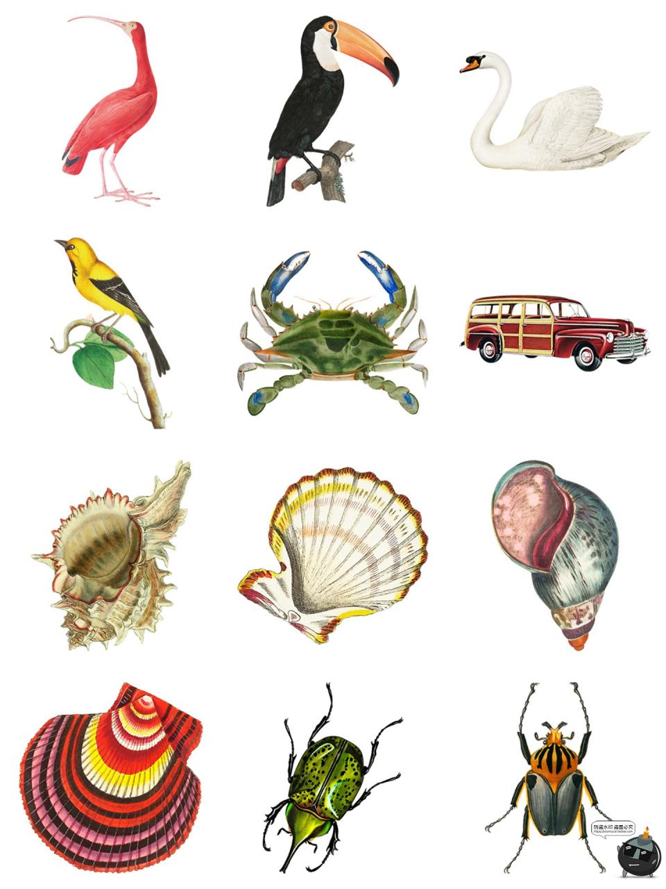 图片[2]-复古奇特奇异剪纸风海洋生物人物蝴蝶水果雕像手账PNG免抠图素材-设计猿