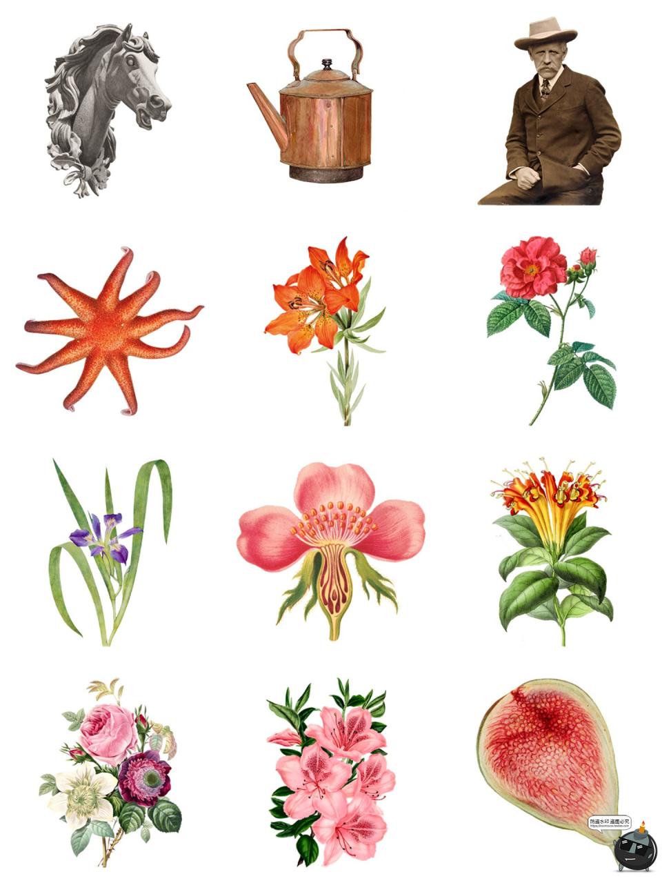 图片[3]-复古奇特奇异剪纸风海洋生物人物蝴蝶水果雕像手账PNG免抠图素材-设计猿