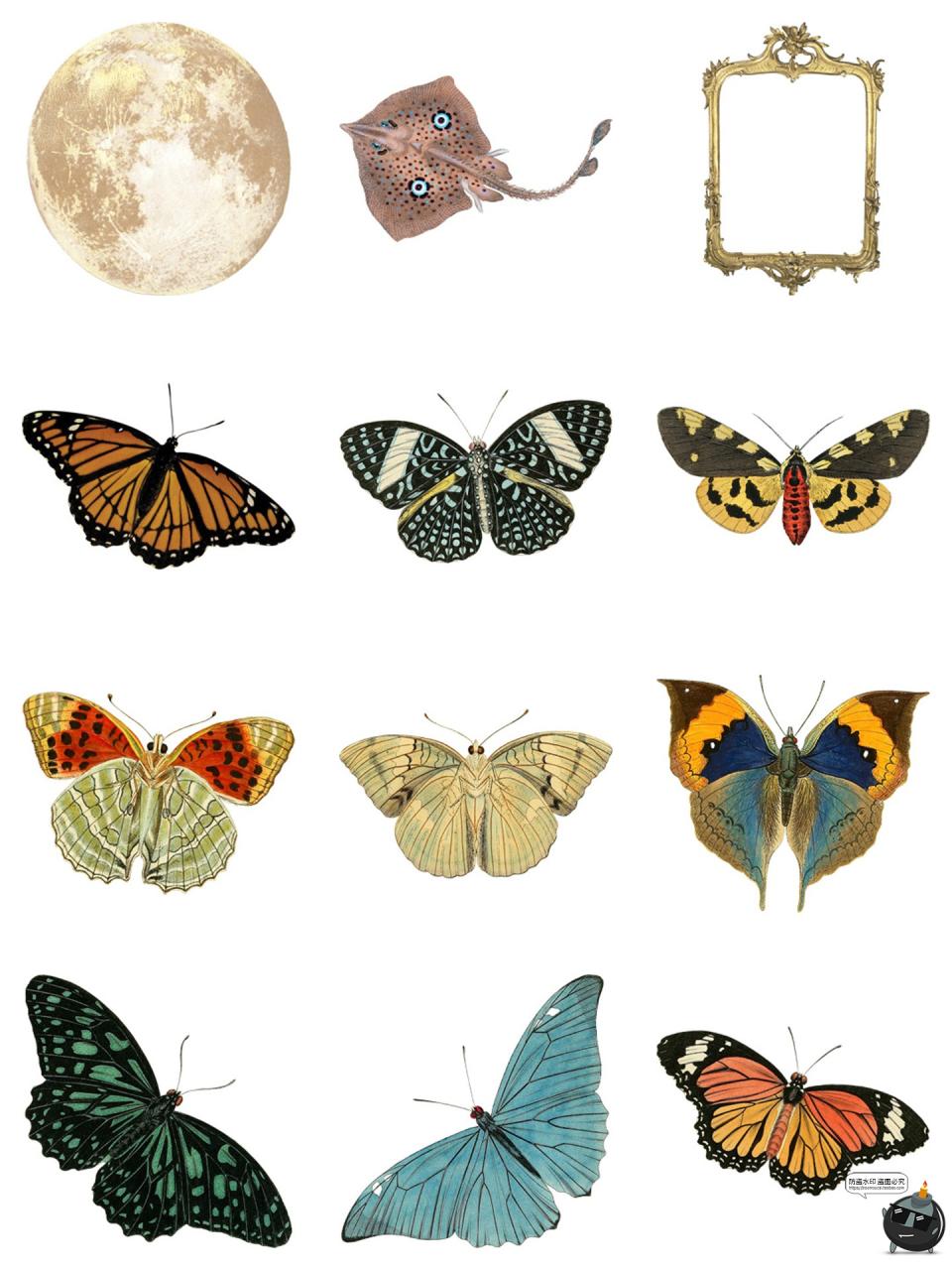 图片[5]-复古奇特奇异剪纸风海洋生物人物蝴蝶水果雕像手账PNG免抠图素材-设计猿