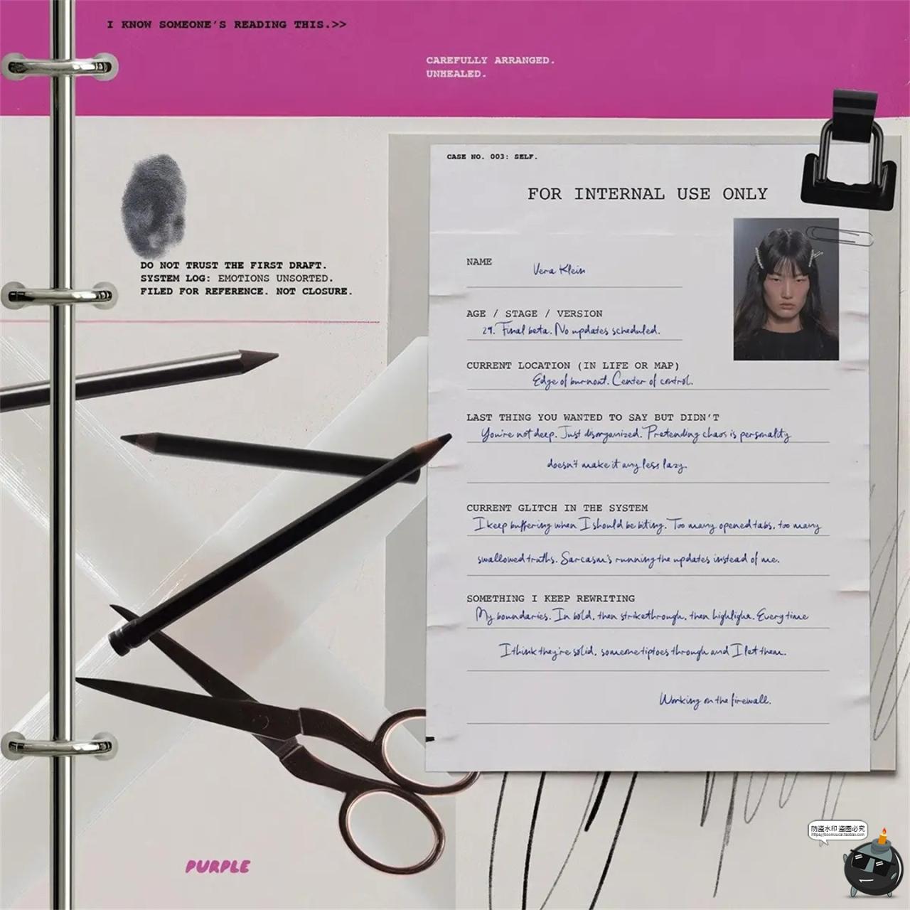 图片[9]-复古档案证件相片资料胶带宝丽来边框英文拼贴艺术PNG免抠图素材-设计猿