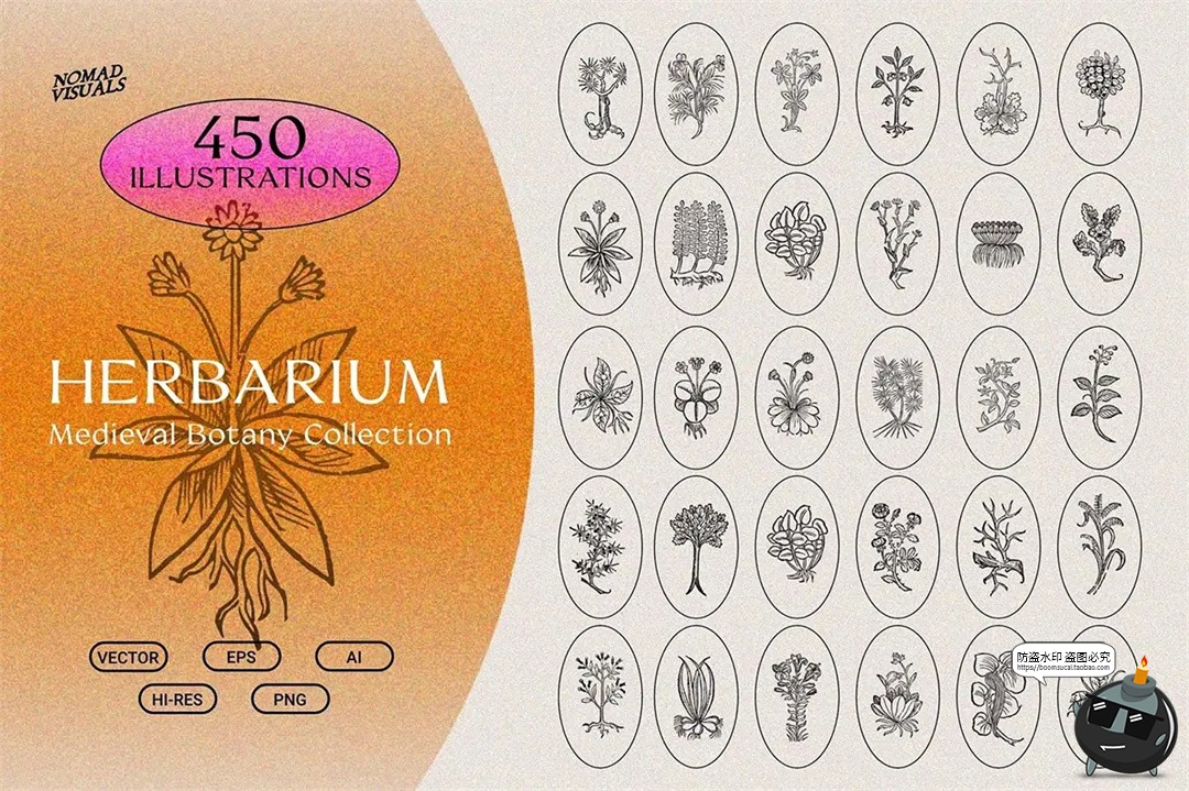 图片[1]-中世纪复古手绘草本植物手稿线描插图插画AI矢量PNG免抠图片素材-设计猿