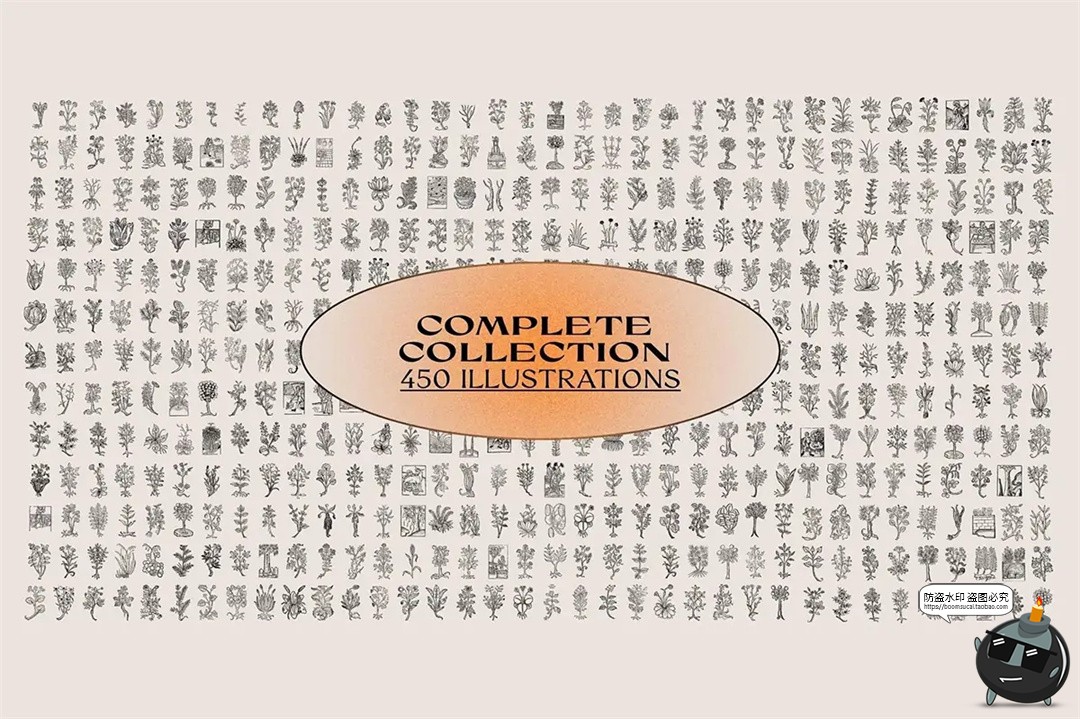 图片[4]-中世纪复古手绘草本植物手稿线描插图插画AI矢量PNG免抠图片素材-设计猿