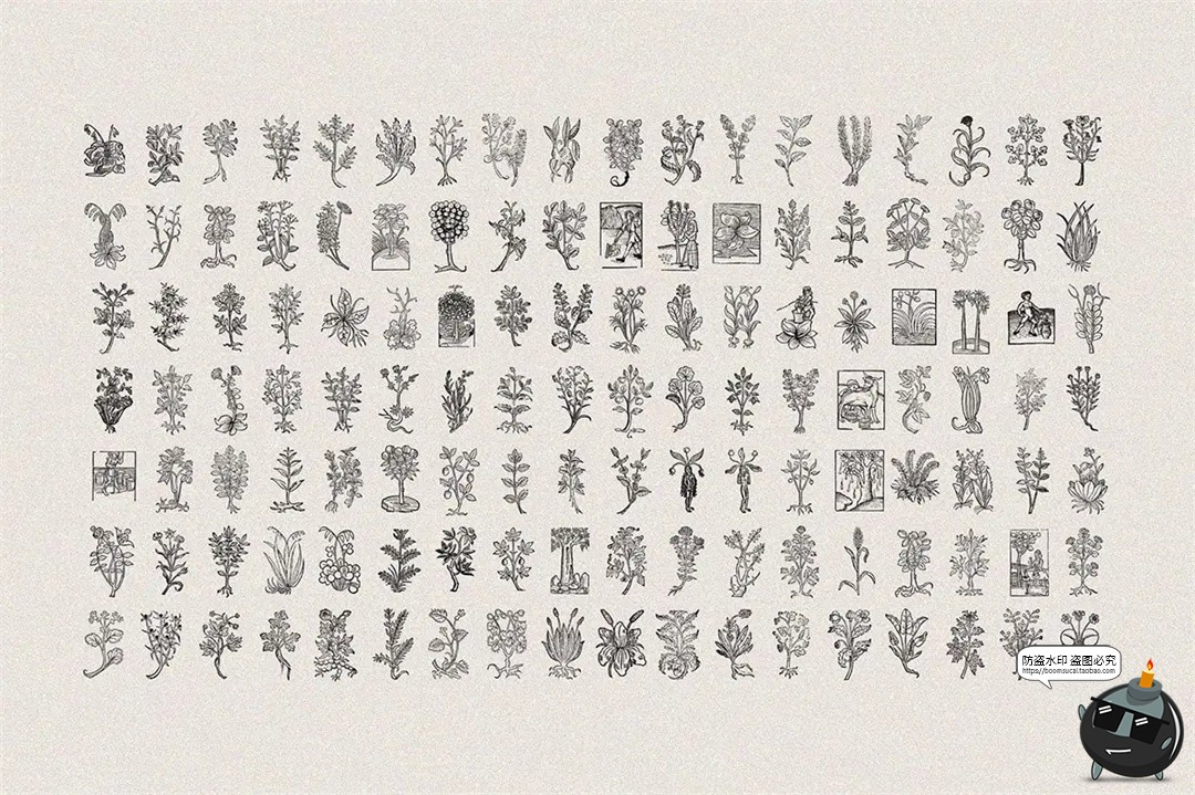 图片[5]-中世纪复古手绘草本植物手稿线描插图插画AI矢量PNG免抠图片素材-设计猿