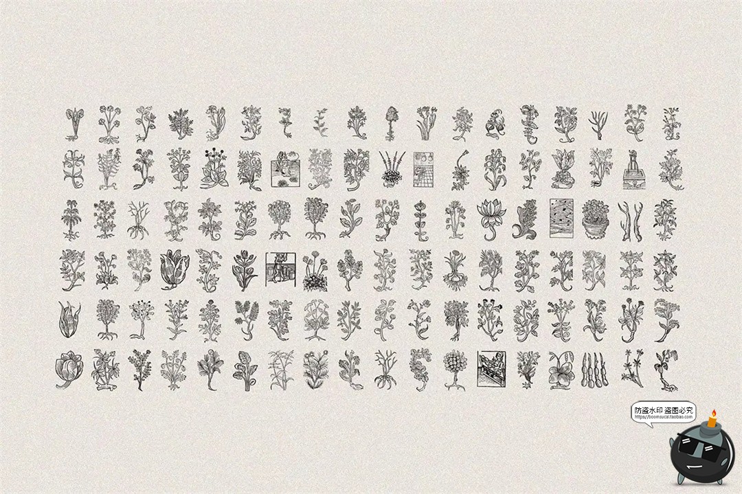 图片[6]-中世纪复古手绘草本植物手稿线描插图插画AI矢量PNG免抠图片素材-设计猿