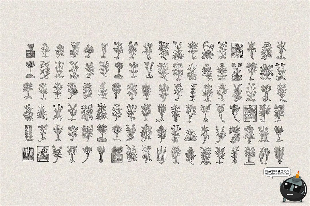 图片[8]-中世纪复古手绘草本植物手稿线描插图插画AI矢量PNG免抠图片素材-设计猿