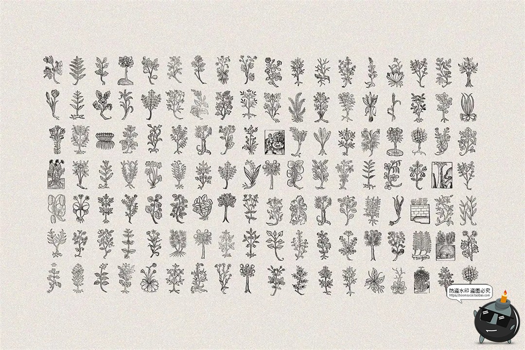 图片[9]-中世纪复古手绘草本植物手稿线描插图插画AI矢量PNG免抠图片素材-设计猿