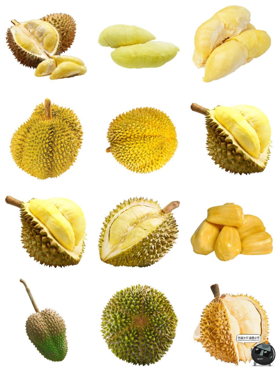 图片[4]-榴莲素材 菠萝蜜果肉水果平面海报广告装饰生鲜元素免抠PNG图片-设计猿