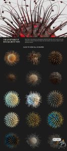 高清抽象有机酸性机能异形3D微观触手细胞装饰元素PNG免抠素材-设计猿