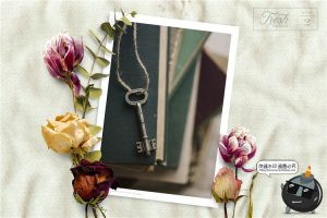 新鲜&干枯鲜花花卉玫瑰植物叶子平躺场景装饰元素PNG免抠插画素材-设计猿