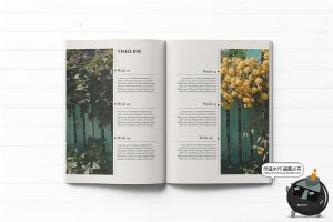 优雅时尚书籍品牌宣传手册画册排版楼书框架PSD模板AI矢量PS素材-设计猿