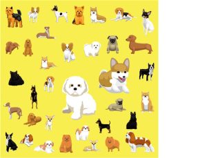 卡通可爱扁平化Q萌版泰迪宠物狗狗犬形象金毛萨摩耶AI矢量图素材-设计猿