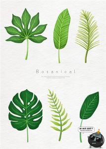 春天清新绿色热带植物树叶仙人掌棕榈图案背景海报PSD设计PS素材-设计猿