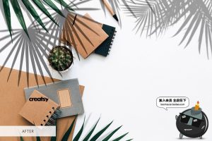 植物窗户阳光阴影光照效果图片照片后期合成叠加PNG免抠PS素材-设计猿