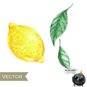 手绘水果菠萝香蕉梨子桃子橙子火龙果芒果卡通插画AI矢量元素素材-设计猿