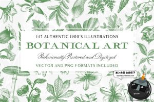 古董古老远古时代蕨类植物蘑菇菌类叶子设计插画素材合集AI矢量图-设计猿