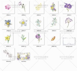 唯美紫色植物牵牛花手绘手账彩色PNG元素婚礼卡片免抠背景PS素材-设计猿