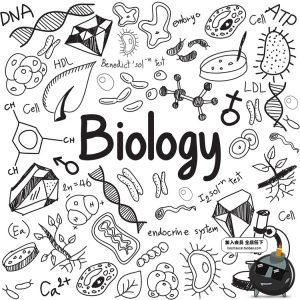 天文化学物理数学生物公式黑白简约线描符号图案AI矢量设计素材-设计猿