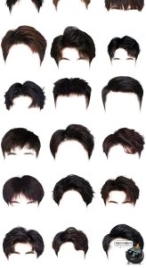 证件照男女发型合集韩式卷发盘发丸子头学生头发刘海后期PNG免抠PSD素材-设计猿