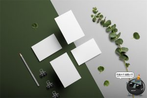 自然轻奢现代花卉植物叶子鲜花干花桌面场景装饰元素PSD模板素材-设计猿