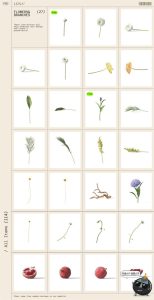 北欧化妆品美妆精油乳液护肤品花卉植物艺术场景元素PSD样机素材-设计猿