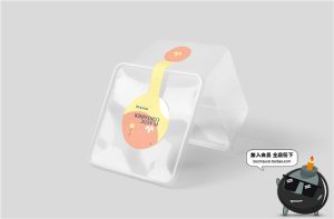 方形塑料一次性透明饭盒零食小吃外卖盒餐盒VI样机PSD模板PS素材-设计猿