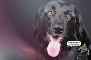 100款自然光效阳光光晕光斑JPG黑底图片叠图后期滤色PS设计素材-设计猿