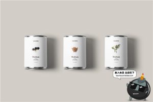 食品零食坚果五谷罐子瓶子包装袋品牌VI样机模板PSD分层设计素材-设计猿