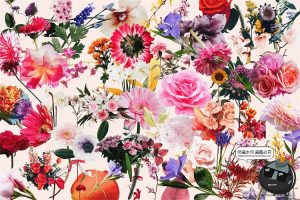 半色调复古鲜花花卉花朵颗粒感风格装饰元素剪贴画PNG免抠素材-设计猿