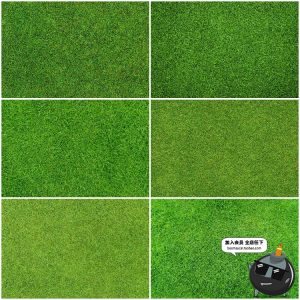 绿茵草坪草地绿地小草绿植物背景纹理JPG高清图片后期合成PS素材-设计猿