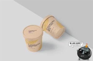 纸质雪糕筒冰激凌纸筒扣盖零食小吃包装设计VI样机PSD模板PS素材-设计猿