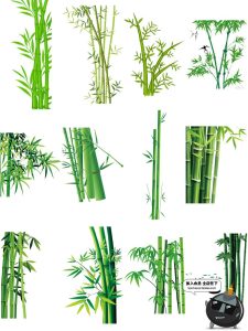 高清PS手绘绿色竹子绿竹竹叶竹节绿色元素PNG免抠设计PS素材图片-设计猿