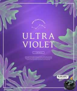 优雅流行紫色系列电商美妆促销宣传广告海报排版PSD模板素材-设计猿