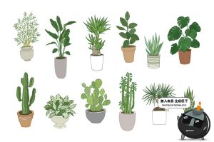 文艺植物绿色黑白线稿仙人掌盆栽水彩手绘手账插画AI矢量素材合集-设计猿