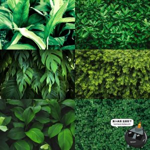 热带植物绿色植被叶子质感森系摄影质感背景底图高清JPG图片素材-设计猿