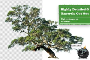 欧美风潮流创意复古人物建筑植物动物剪纸剪贴画拼贴PNG免抠素材-设计猿