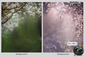 哥特风树林阴森景观花卉叶子背景后期合成修图场景JPG图片素材-设计猿