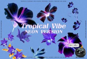 潮流复古宫廷热带丛林花卉植物插画拼贴图案元素PNG免抠图片素材-设计猿