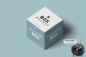 方形粉笔盒正方体纸盒外包装Mockups样机效果展示PSD模板PS素材-设计猿