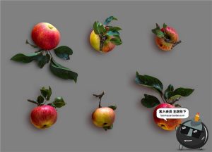 秋天秋季元素叶子金色枫叶树叶枯枝秋季海报背景PSD模板PS素材-设计猿